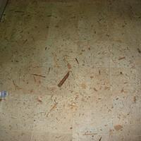 IMG_1627.JPG