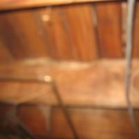 IMG_1631.JPG