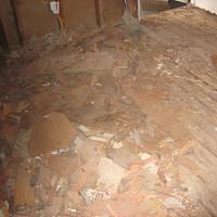 IMG_1637.JPG