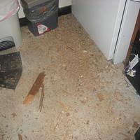 IMG_1642.JPG