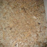 IMG_1643.JPG