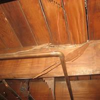 IMG_1646.JPG