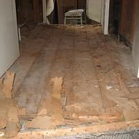 IMG_1647.JPG