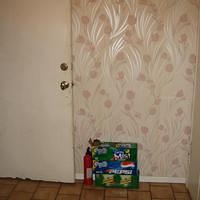IMG_0381.jpg