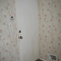 IMG_0383.jpg