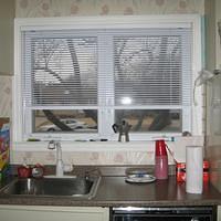 IMG_0387.jpg