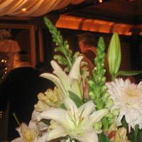 IMG_1847.JPG