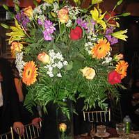 IMG_1920.JPG