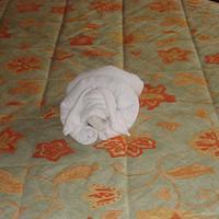 IMG_2072.JPG