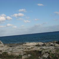 IMG_2077.JPG