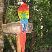 IMG_2083.JPG
