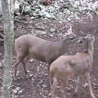IMG_2095.JPG