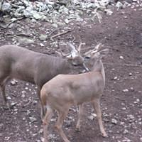 IMG_2096.JPG