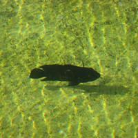 IMG_2111.JPG