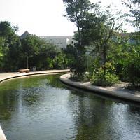 IMG_2113.JPG