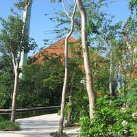 IMG_2114.JPG