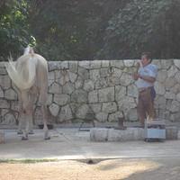 IMG_2121.JPG