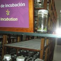 IMG_2124.JPG