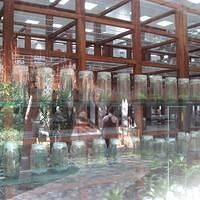 IMG_2125.JPG