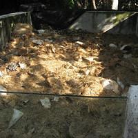 IMG_2130.JPG