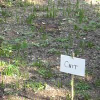 IMG_2131.JPG