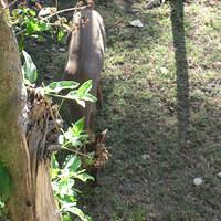 IMG_2134.JPG