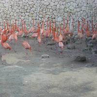 IMG_2142.JPG