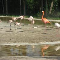 IMG_2143.JPG