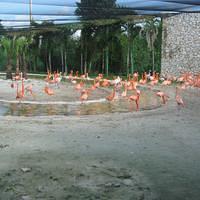 IMG_2146.JPG