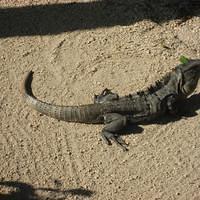 IMG_2159.JPG