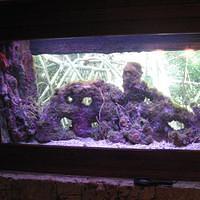 IMG_2162.JPG