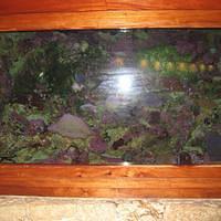 IMG_2163.JPG