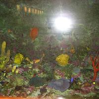 IMG_2164.JPG