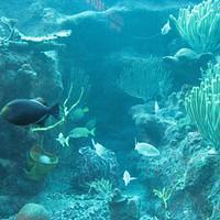 IMG_2165.JPG