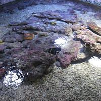 IMG_2166.JPG