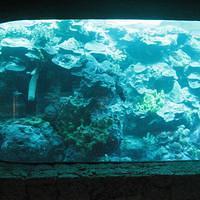IMG_2167.JPG