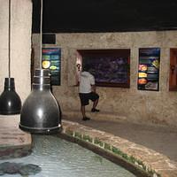 IMG_2169.JPG