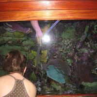 IMG_2170.JPG