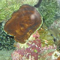 IMG_2172.JPG
