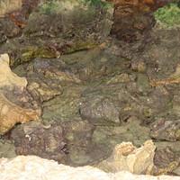 IMG_2174.JPG