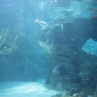 IMG_2176.JPG