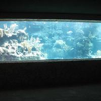 IMG_2178.JPG