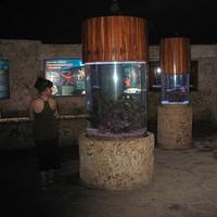 IMG_2179.JPG