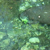 IMG_2204.JPG