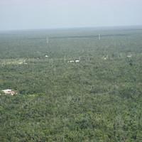 IMG_2274.JPG