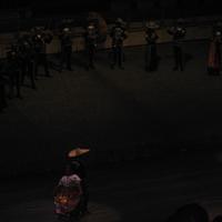 IMG_2365.JPG