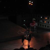 IMG_2367.JPG