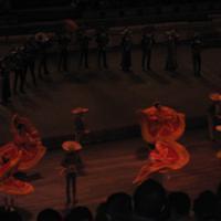 IMG_2368.JPG