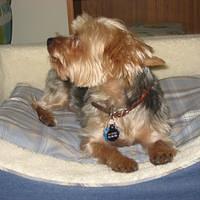IMG_2455.JPG
