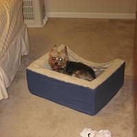 IMG_2465.JPG